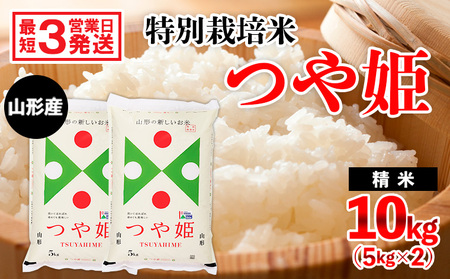 山形産特別栽培米 つや姫 10kg(5kg×2)