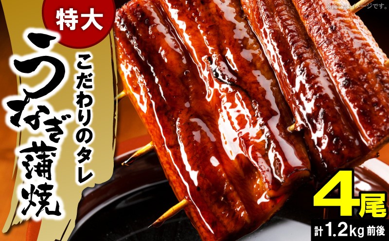
            うなぎの蒲焼ビッグサイズ 4尾（計1.2kg前後） KP9406
          