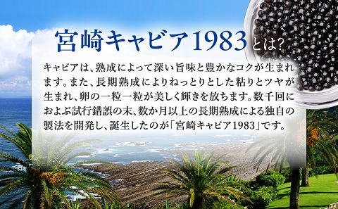 宮崎キャビア1983 バエリプレミアム (60g)