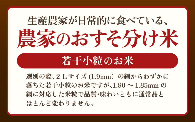 【先行予約】令和8年産 生活応援米 5kg 福井県越前町産 【白米】【お米 コメ kome 5キロ 家庭用 白米】【2026年10月中旬以降順次発送】 [e81-a004_01]