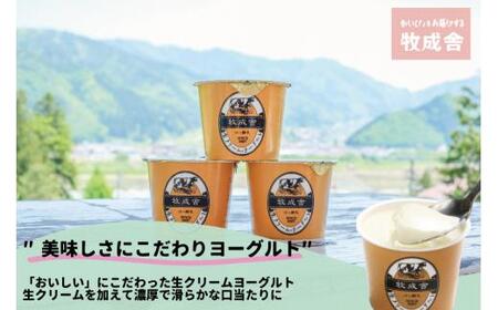【定期便１２か月】飛騨のカップヨーグルト20個セット ヨーグルト2種類セット DF110