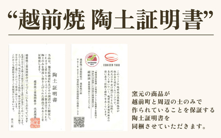 【父の日限定】【先行予約】越前焼 ビアマグ 志野 桐箱入り 光窯「陶土証明書あり」【2025年6月9日以降順次発送】【食器 酒 ビール コップ カップ マグカップ 父の日ギフト 電子レンジ 食洗機  