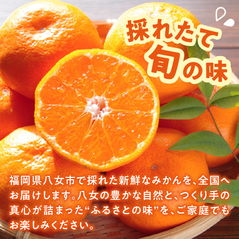 ＜道の駅たちばなオリジナル＞みかん10kg詰合せ（2026年10月上旬より発送開始） みかん ミカン オレンジ くだもの 果物 フルーツ デザート 極早生 早生 甘い 福岡県 八女市