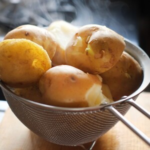 北海道十勝豊頃男爵いも10kg 【2026年秋出荷】（先行受付）［武隈農場］