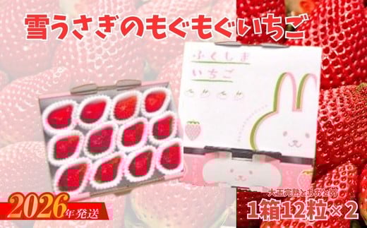 No.2478福島市産いちご【大粒完熟とちおとめ 】雪うさぎのもぐもぐいちご 1箱12個入り×2箱（約800g）【2026年１月下旬より発送】