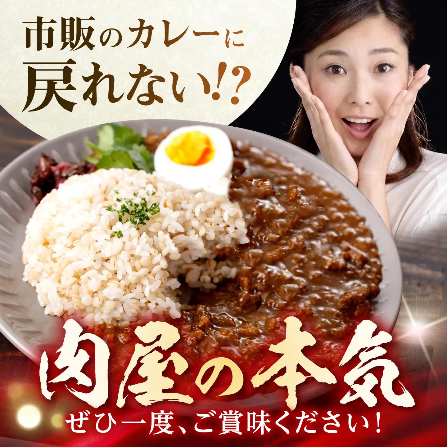 【肉のプロが贈る！究極のカレー】長崎和牛 キーマカレー 800g(200g×4袋) / カレー かれー レトルト 国産和牛 牛肉カレー 冷凍 本格 惣菜 加工品 ギフト お取り寄せ / 諫早市 / 野
