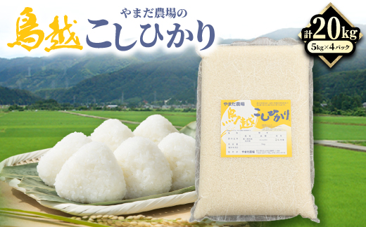 
                  やまだ農場の鳥越こしひかり20kg(5kg×4パック)白米【1019157】
                