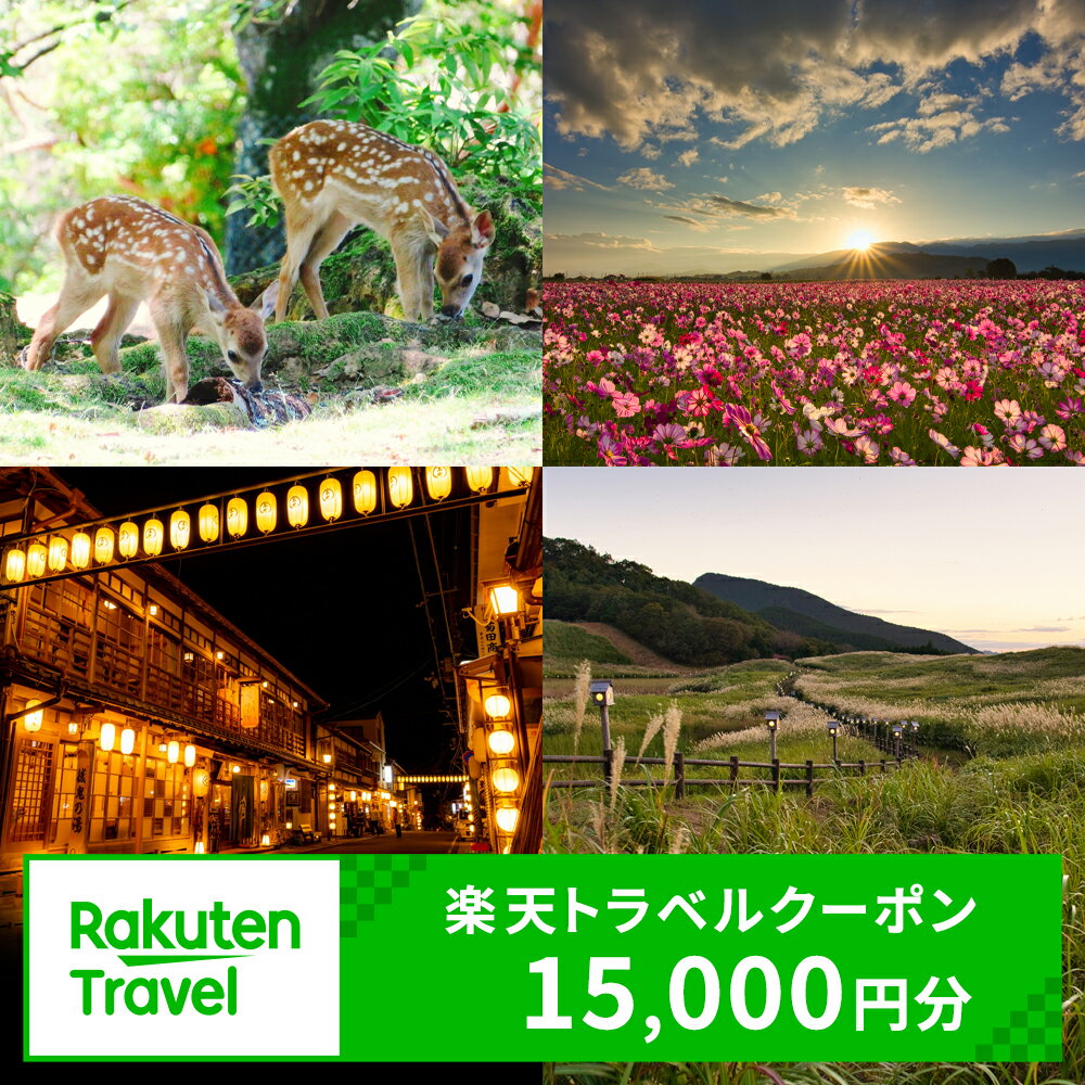 【ふるさと納税】奈良県の対象施設で使える楽天トラベルクーポン 寄付額50,000円