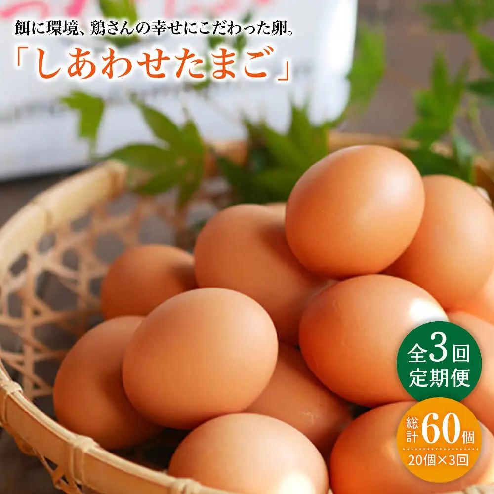 【3回定期便】 平飼い しあわせ たまご  20個 ＜松本養鶏場＞ [CCD027]