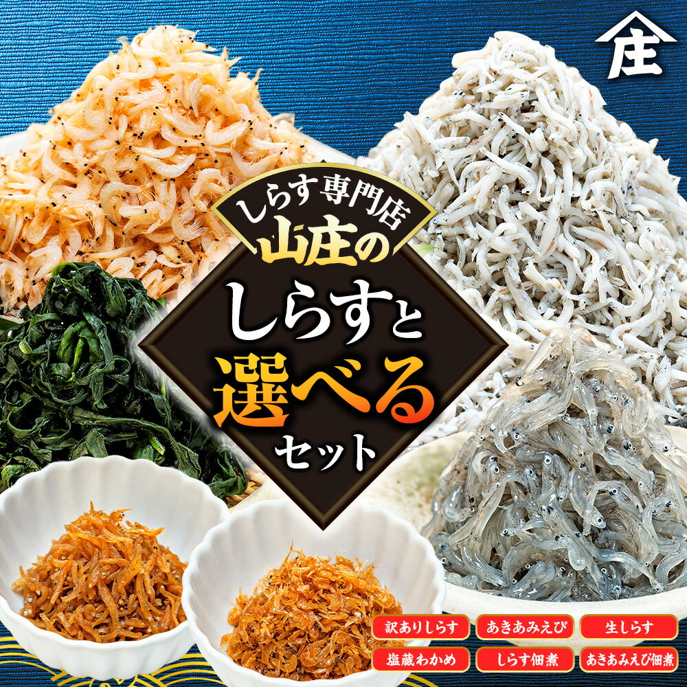 【ふるさと納税】 選べる 訳あり しらすセット しらす アキアミエビ 生しらす 塩蔵わかめ しらす佃煮 あきあみえび佃煮 規格外 簡易包装 小分け しらす干し オールスター 海鮮 新鮮 魚 海老 エビ 夕食 晩ごはん 惣菜 夕ご飯 愛知県 南知多町