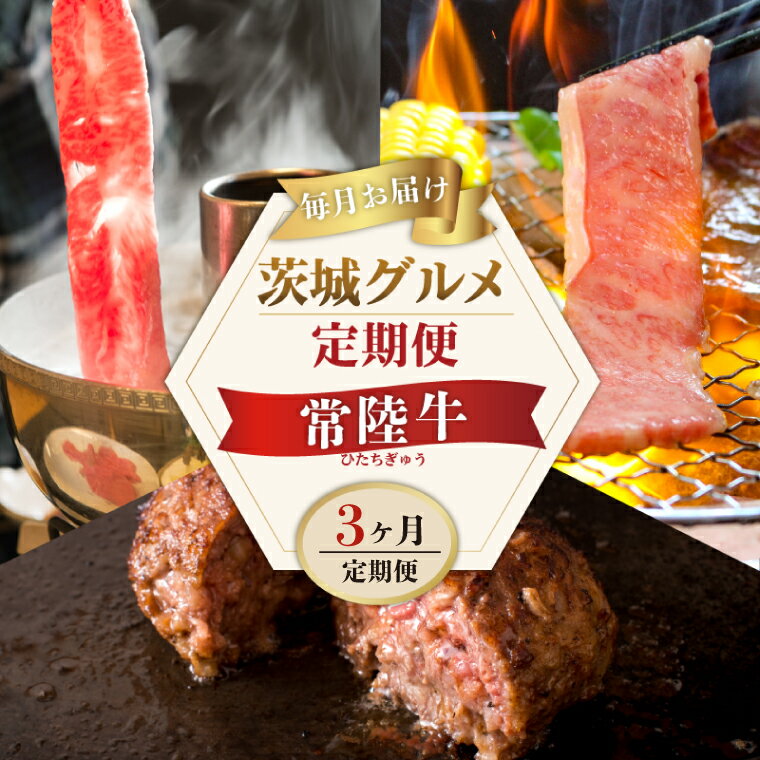 【ふるさと納税】【定期便 全3回】 常陸牛 3ヶ月 定期便 Bコース 食べ物 肉 常陸牛ハンバーグ 10個 無添加 冷凍 焼き肉 カルビ 焼肉 しゃぶしゃぶ ギフト セット ふるさと納税 【肉のイイジマ】 茨城県(DU-104)