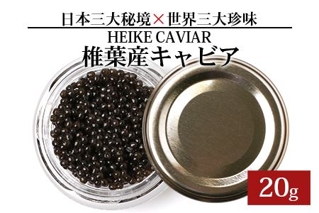【訳あり】HEIKE CAVIAR 20ｇ キャビア 宮崎キャビア