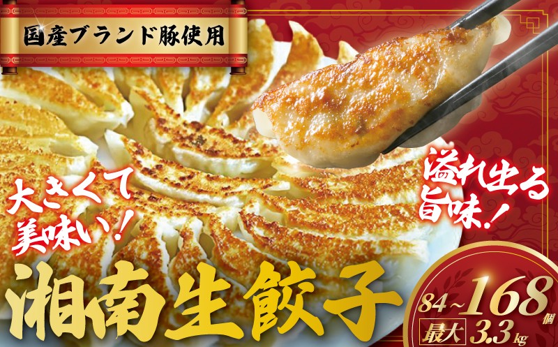 
            餃子 ぎょうざ 84個 ~ 168個 最大3.3kg (42個 × 2 ~ 4 パック) 肉汁 大きい 国産 ブランド豚 ルイビ豚 小分け 豚肉 肉餃子 野菜餃子 野菜 ヤキギョウザ 餃子 ギョーザ 餃子  やきぎょうざ ギョーザ ぎょうざ ぎょーざ ギョウザ こだわり餃子 大容量ぎょうざ やきぎょうざ 冷凍ぎょうざ ギョウザ  簡単調理 冷凍ギョウザ 冷凍ぎょうざ ランキング 人気  湘南藤沢
          
