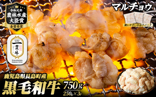 和牛カット済ホルモン（マルチョウ）250g×3パック 計750g ホルモン 牛肉 丸腸 焼肉 ホルモン 牛もつ もつ鍋 f-miyaji-6049
