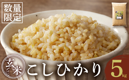 ≪都農町産≫新米コシヒカリ(玄米)5kg 米 お米 ご飯 国産_T031-003