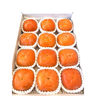 【秋の味覚】和歌山産たねなし柿約4kg 化粧箱入り(2L～4Lサイズ)(上富田町)【配送不可地域：離島】
