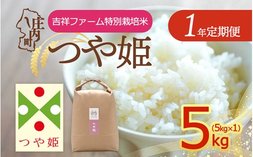 【定期便】＜令和8年産/9年産＞つや姫 5kg×1年間 特別栽培米 毎月お届け 金賞受賞農家 山形県庄内町産 庄内米 ブランド米 米 お米の定期便 ごはん 粘り 甘み 香り 粒が大きい 吉祥ファーム【11月中旬発送】