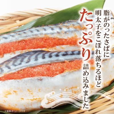 ふるさと納税 福智町 さば明太 9尾 |  | 02