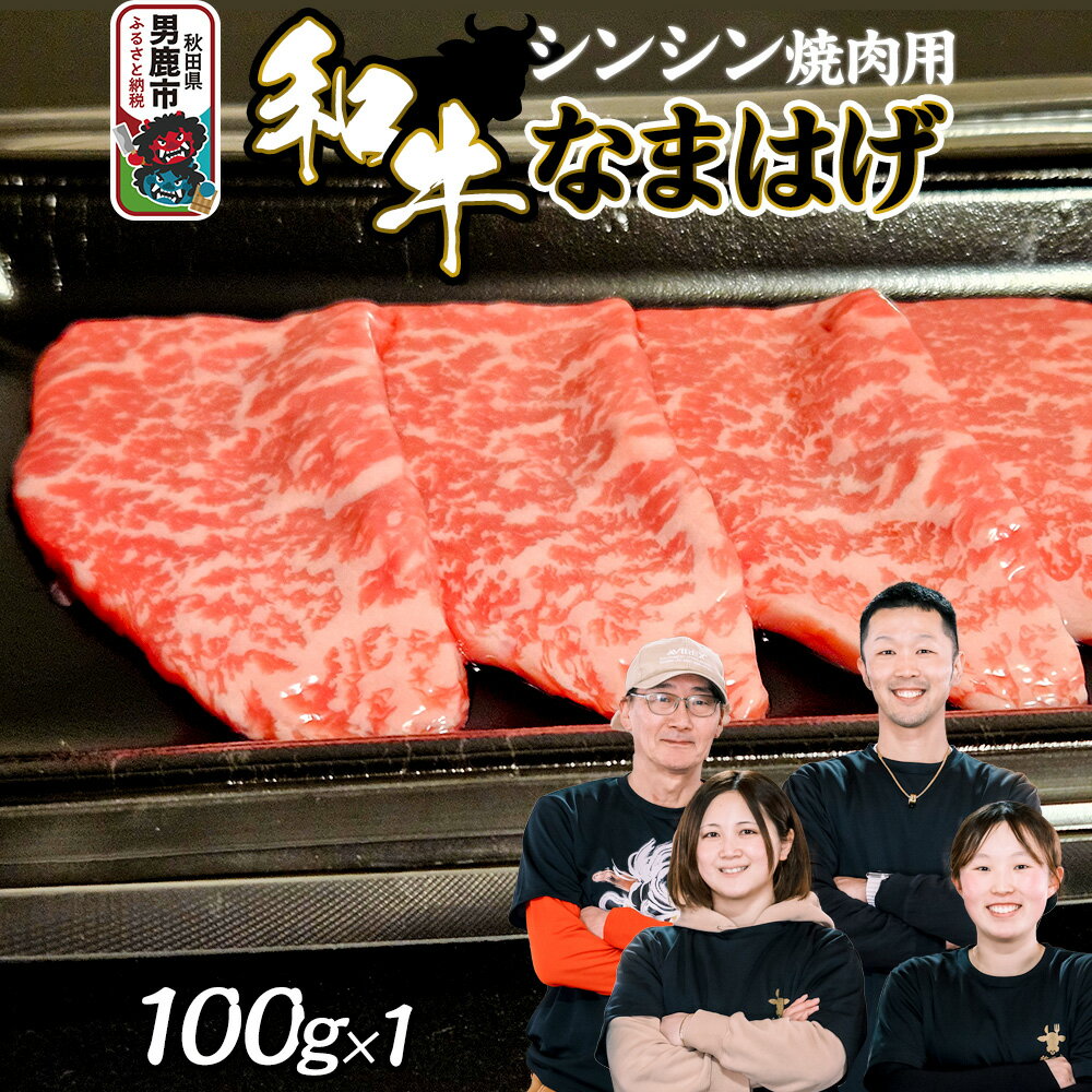 【ふるさと納税】和牛なまはげ シンシン焼肉用 100g 大進農場