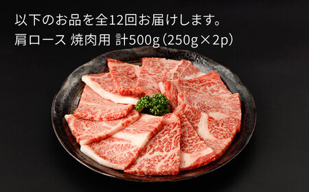 【12回定期便】佐賀牛  肩ロース 焼肉用 計500g(250g×2p)【一ノ瀬畜産】[NAC154] 佐賀牛 黒毛和牛 牛肉 佐賀 牛肉焼肉 牛肉焼き肉 牛肉BBQ 牛肉肩ロース 牛肉カタロース ア