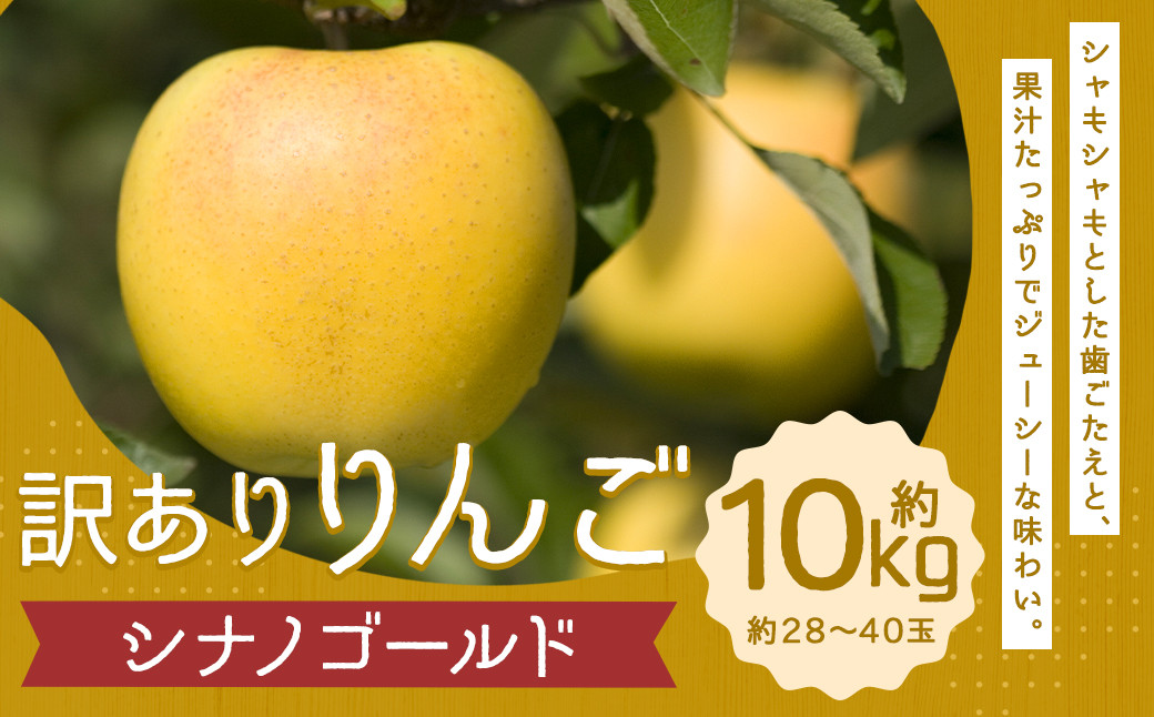 
訳あり りんご （シナノゴールド） 約10kg／リンゴ 林檎 フルーツ くだもの 果物 果実 わけあり お取り寄せ【2024年12月下旬より発送開始】
