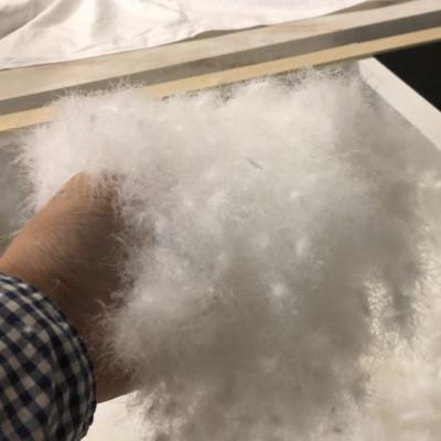 ふるさと納税 和歌山市 【専門店のハンドメイド】ポーランド産グース90　羽毛ふとん　シングルロング |  | 02