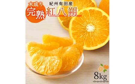 【先行予約】紀州有田産木成り完熟紅八朔８kg ※2027年2月下旬頃〜2027年3月中旬頃に順次発送予定（お届け日指定不可）/ みかん 不知火 和歌山 フルーツ 有田【uot795】