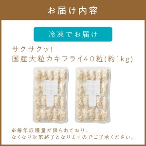 サクサクッ!国産大粒カキフライ40粒(約1kg)【001-0011】カキフライ 揚げ物 惣菜 魚介 1キロ 国産 送料無料 冷凍食品 牡蠣フライ ふるさと納税 惣菜 カキフライ 福岡県中間市 ふるさと