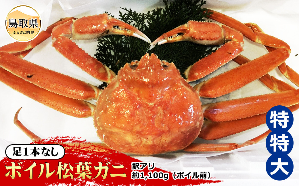 
                  【魚倉】足1本なしボイル松葉ガニ訳あり　特特大　約1,100g（ボイル前）【期間限定】_T2600158 鳥取県 おすすめ ボイル かに がに ガニ 蟹 松葉ガニ
                