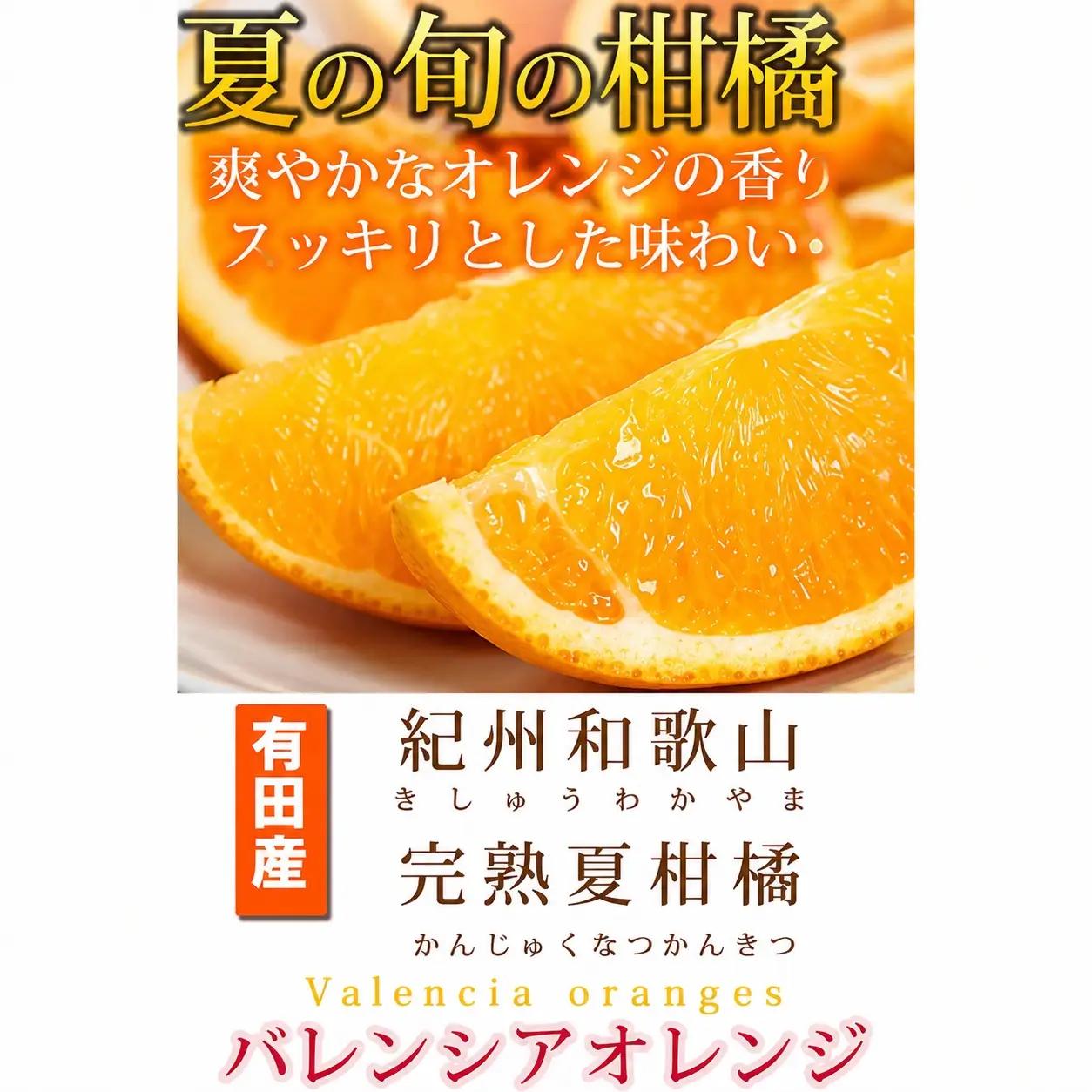 秀品　希少な国産バレンシアオレンジ　2.5kg　※2026年6月下旬頃～2026年7月上旬頃 順次発送（お届け日指定不可）【uot752】