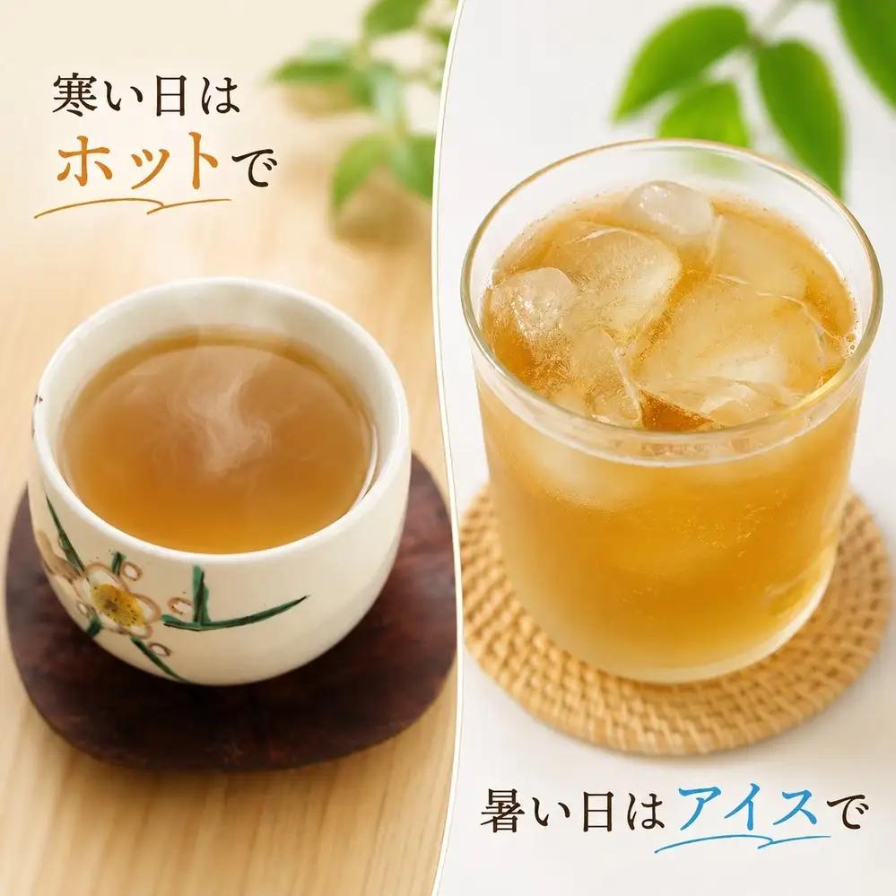 氷見 ハトムギ茶 焙煎茶ティーバッグ 120g（10g×12包）× 6袋 | 氷見産 ハトムギ茶 はとむぎ 添加物無添加 ノンカフェイン 