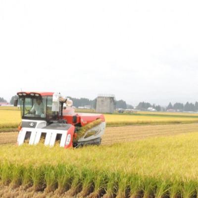 ふるさと納税 花巻市 【毎月定期便】岩手花巻産「健土健米」ひとめぼれ　10kg全3回 |  | 01
