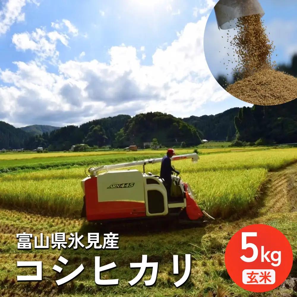 米 令和8年産 富山県氷見産 コシヒカリ 玄米 5kg 