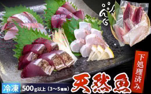 天然 鮮魚 詰め合わせ 朝獲れ直送 下処理済み 2~3種入り 500g以上 （2025年7月出荷） 冷凍 刺身 魚種お任せ 水揚げ 海鮮 魚介 産地直送 新鮮 魚 鮮魚ボックス