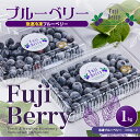 【ふるさと納税】Fuji Berry 急速冷凍ブルーベリー1kg ふるさと納税 ブルーベリー 冷凍 おいしい 山梨県 鳴沢村 送料無料 NSAA008