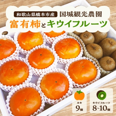 【2026年度発送分】富有柿とキウイフルーツの詰合せ