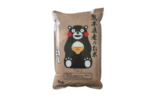【 令和7年度産 】 熊本県産塩栽培米ヒノヒカリ 5kg 国産 熊本県産 お米 米 コメ ご飯 白米 ヒノヒカリ 塩栽培米 塩栽培 【 2025年12月上旬発送開始 】