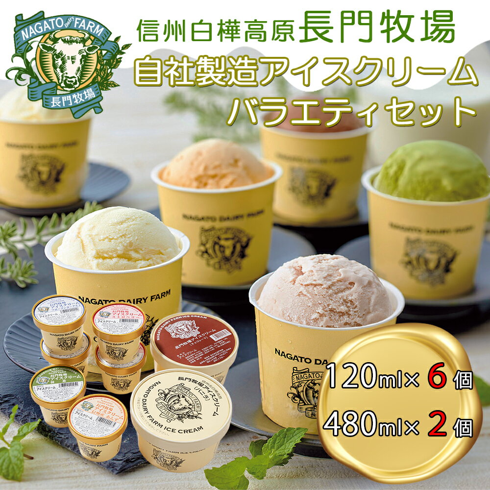 【ふるさと納税】長門牧場アイスクリーム大小セットC　6種のフレーバー詰め合わせ（バニラ、チョコレート、抹茶、ヨーグルト、いちご、あんず）　人気スイーツ　濃厚ミルク　直送　牛乳　生乳　国産　夏ギフト　長野県　贈答品　お土産　お中元　お歳暮　クリスマス