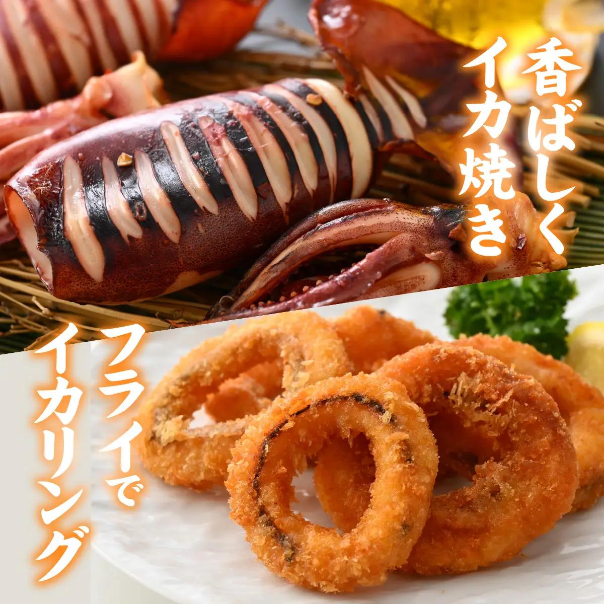 ふくい海の幸2点セットA 【ふくいサーモン するめ スルメ いか イカ 汐いか 冷凍】 [A-004010]