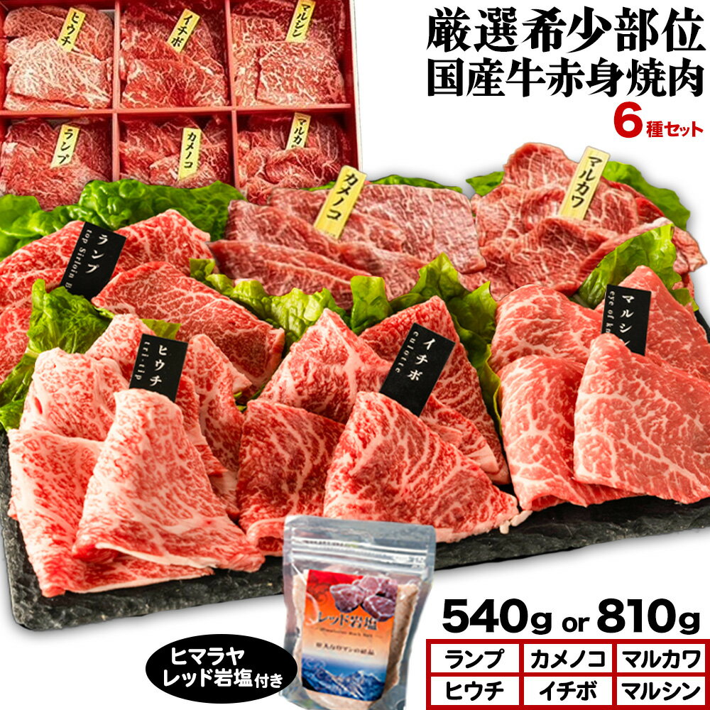 【ふるさと納税】厳選希少部位国産牛赤身焼肉6種セット 選べる 約540g 約810g (株)仲辻《30日以内に出荷予定(土日祝除く)》大阪府 羽曳野市 希少部位 厳選 赤身 国産牛 肉 牛肉 ランプ カメノコ マルカワ ヒウチ イチボ マルシン