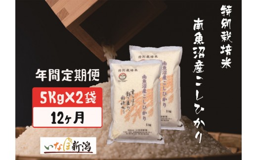 【令和7年産】【定期配送】南魚沼産コシヒカリ特別栽培米 白米 10kg 全12回【定期便 銘柄米 ブランド米 精米 こしひかり コシヒカリ 魚沼産 新潟米 産地直送 お米 米 こめ コメ ご飯 御飯 ごはん】