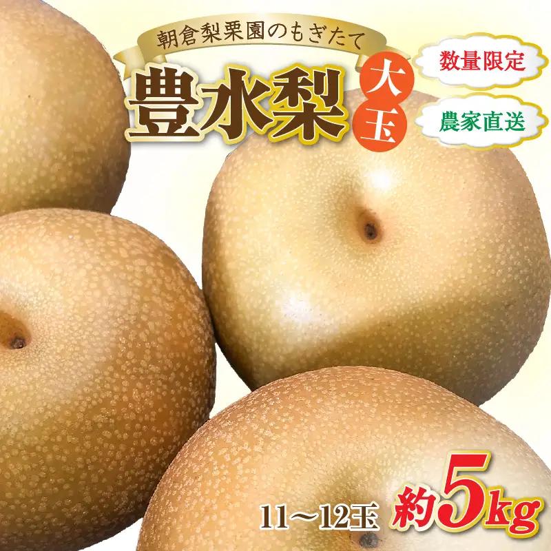 【先行予約】《数量限定》豊水梨【大玉】11～12玉入 約5kg もぎたて 新鮮 ／ 期間限定 果物 フルーツ 農家直送 お取り寄せ 豊水 梨 なし 福井県 あわら市 ※2026年9月上旬より順次発送予定 [aw042-a001]
