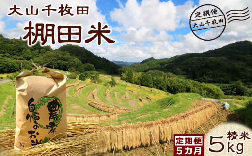 【棚田保全支援】大山千枚田の天水田育ち『棚田米』定期便 ５kg×５カ月《精米》　[0084-0003]