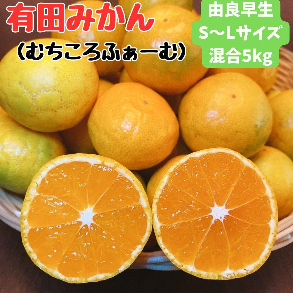 
            有田みかん 由良早生S～Lサイズ混合 約5kg 【2025年発送 先行予約】
          