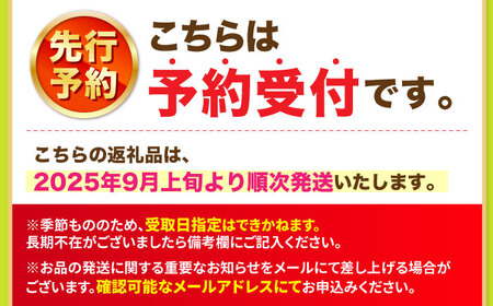【9月発送】シャインマスカット 約1.5kg（2房）＜濱﨑農園＞[CGN005]