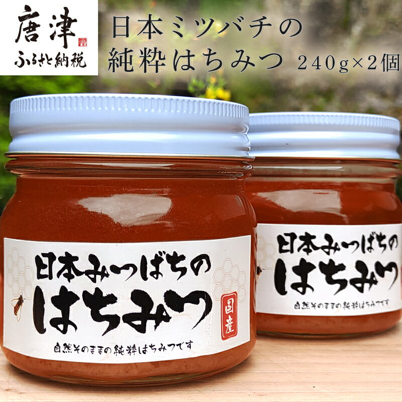 【ふるさと納税】日本ミツバチの純粋はちみつ 240g×2個 (合計480g) 瓶 自然 蜜「2025年 令和7年」