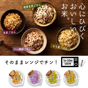 雑穀ごはんアソートセット 4種 160g×48個 十六雑穀 金のいぶき玄米 発芽玄米 もち麦 160g 4種×各12個