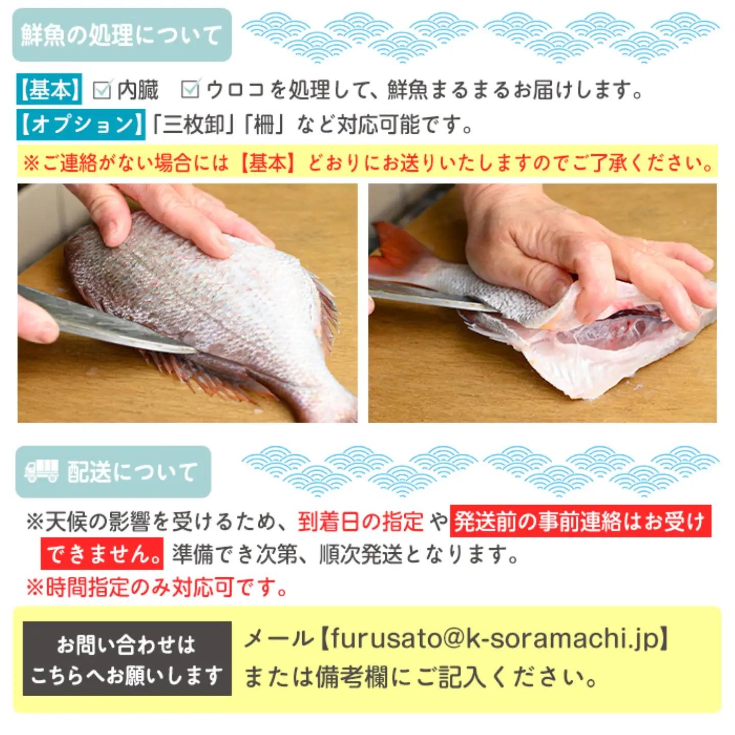鮮魚ボックス 鮮魚BOX 地魚 詰め合わせ 約4人分 産地直送【マルケイ水産】A09002