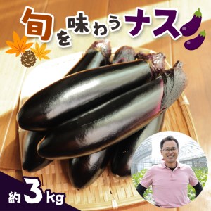 野菜 ナス 旬を味わうナス 約3kg