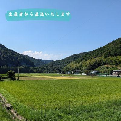 ふるさと納税 美波町 【令和7年産】徳島県海部郡美波町産コシヒカリ100% 精米5kg |  | 02